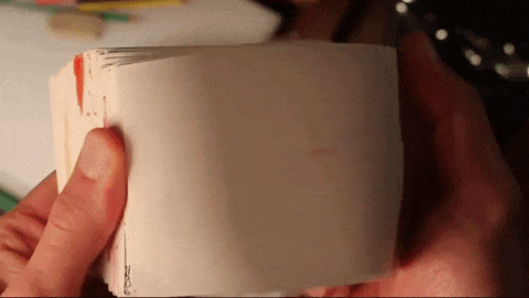 Flip book flip book